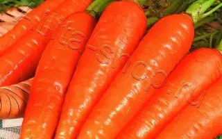 САХАРНАЯ КОРОЛЕВА