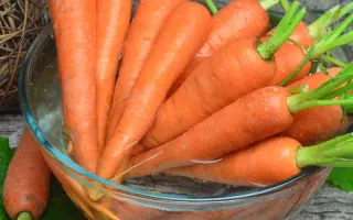 ПРИМОРСКАЯ 22