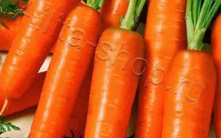 ВАРВАРА КРАСА