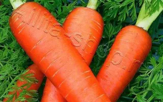 ПРАЗДНИК ОСЕНИ