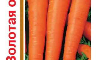 ЗОЛОТАЯ ОСЕНЬ