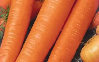 МОНАСТЫРСКАЯ