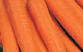 СЛАДКОЕЖКА