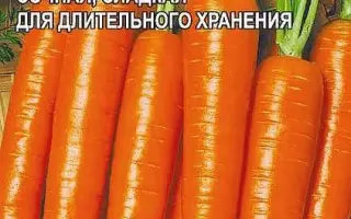 КРАСНА ДЕВИЦА