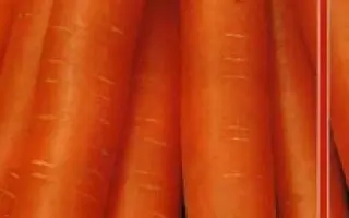 КРАСНАЯ СТРЕЛА