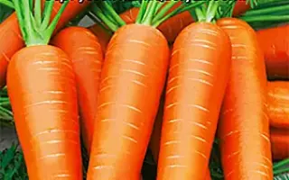 ЗИМНИЙ НЕКТАР