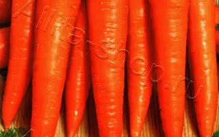 ОРАНЖЕВЫЙ КАРАНДАШ