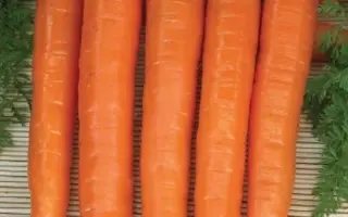 КРЕСТЬЯНКА