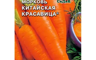 КИТАЙСКАЯ КРАСАВИЦА