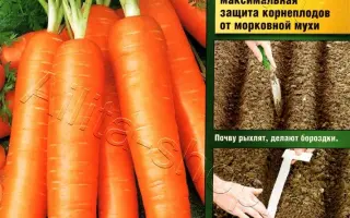 СУПЕР МУСКАТ