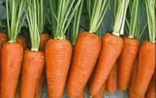 ШАНТЕНЭ-КОМЕТ