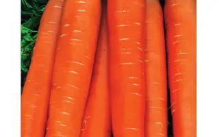 БЕРЛИКУМ РОЯЛ