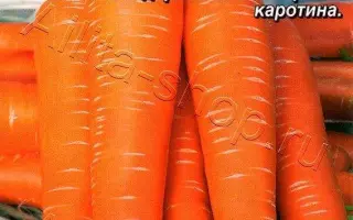 КОРОЛЕВА ОСЕНИ