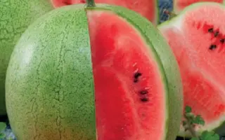 МАЛИНОВЫЙ СОРБЕТ