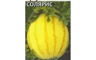 СОЛЯРИС