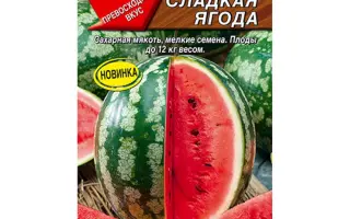 СЛАДКАЯ ЯГОДА