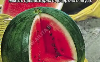 ЛАКОМЫЙ КУСОЧЕК