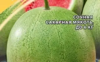 ЕРОФЕЙ