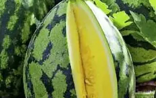 ХИМЭ ЙЕЛОУ