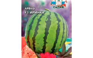 ИРИНКА