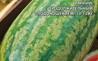 ПОЛОСАТАЯ ТОРПЕДА