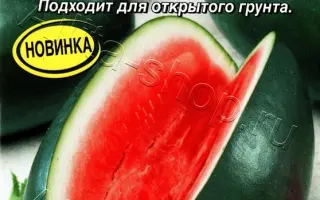 НЕОБЫЧАЙНЫЙ