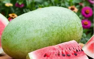 ЧАРЛЬСТОН ГРЭЙ