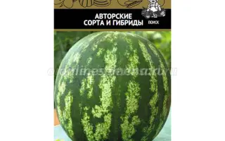 КРИМСОН ВОНДЕР