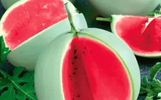 ПАМЯТЬ ХОЛОДОВА