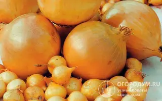 ЗОЛОТОЙ СТАНДАРТ