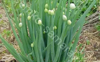 АПРЕЛЬСКИЙ