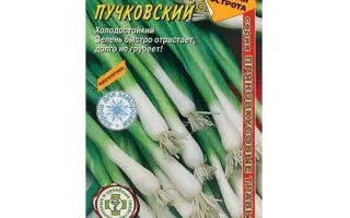 ПУЧКОВСКИЙ