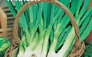 РАННЯЯ ТРАПЕЗА