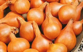 ПОДАРУЕВСКИЙ