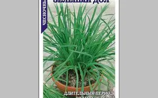 ЗЕЛЕНЫЙ ДОЛ