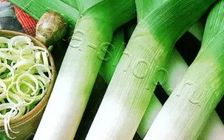 ДОБРЫЙ МОЛОДЕЦ