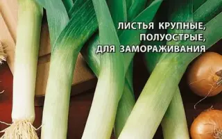 ЛЕТНИЙ БРИЗ