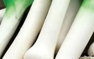 ПОБЕДИТЕЛЬ