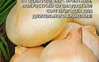 СПАССКИЙ МЕСТНЫЙ УЛУЧШЕННЫЙ