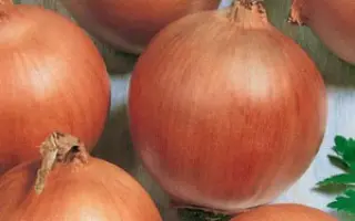 СТРИГУНОВСКИЙ МЕСТНЫЙ