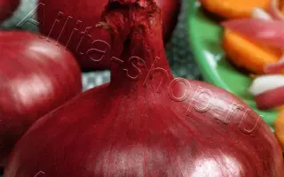 ДАНИЛОВСКИЙ 301