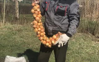 ИГЛИНСКИЙ 2