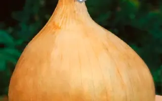 БОГАТЫРСКАЯ СИЛА