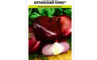 ЯЛТИНСКИЙ ПЛЮС