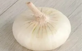 ЯЛТИНСКИЙ БЕЛЫЙ