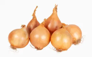 ШТУТТГАРТЕР-СТЕНФИЛД