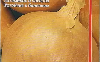 ДЕТСКИЙ ЧИПОЛЛИНО