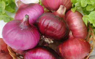 РАННИЙ РОЗОВЫЙ