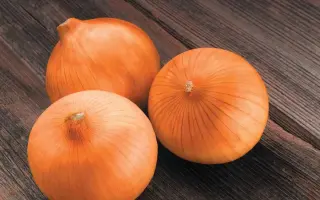 СПЭНИШ МЕДАЛЬОН