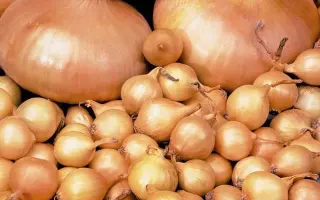 ЗОЛОТОЕ ВЕРЕТЕНО